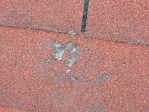 roof damage photo