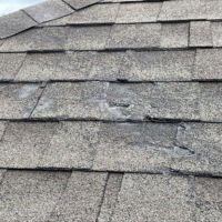 Damaged roof covering shingles caused by tree branch contact. damaged roof covering